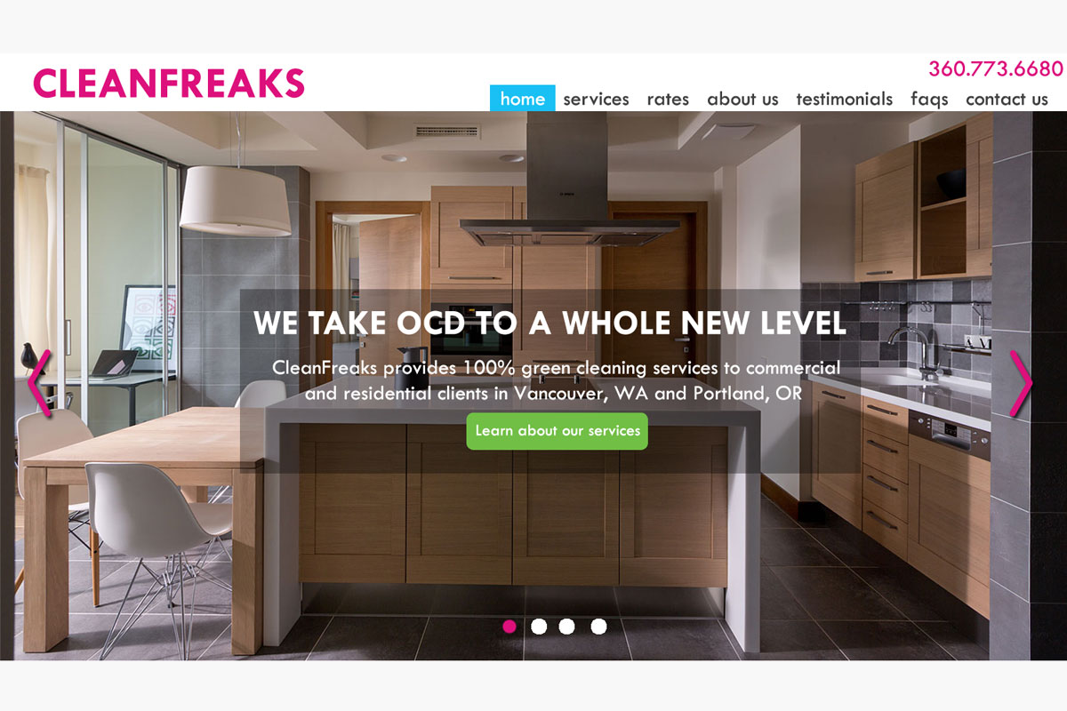 CleanFreaks website mockup